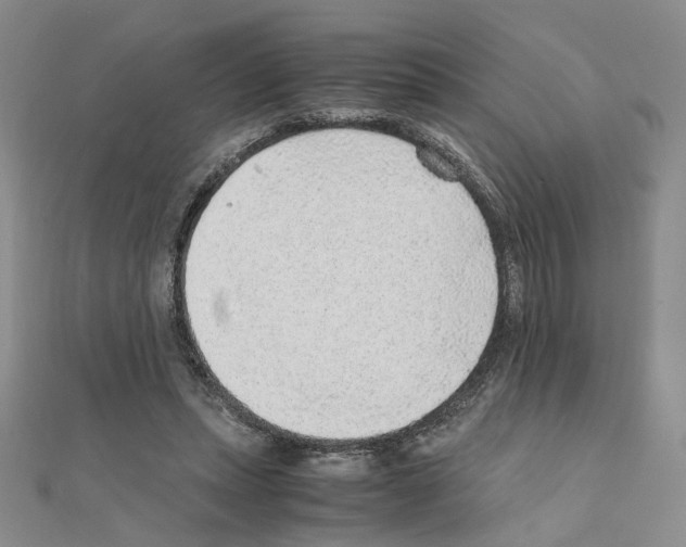 X0000110910447200907301545