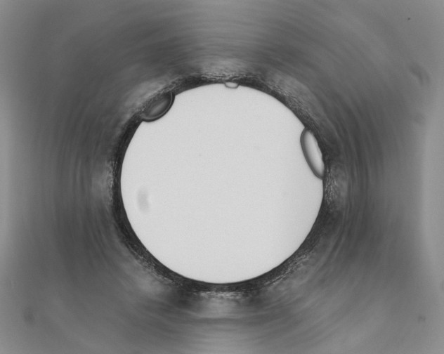 X0000110910448200907301545