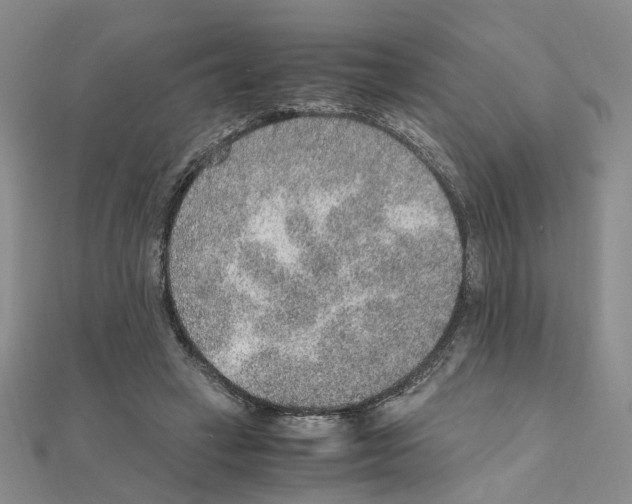 X0000110910449200907301545