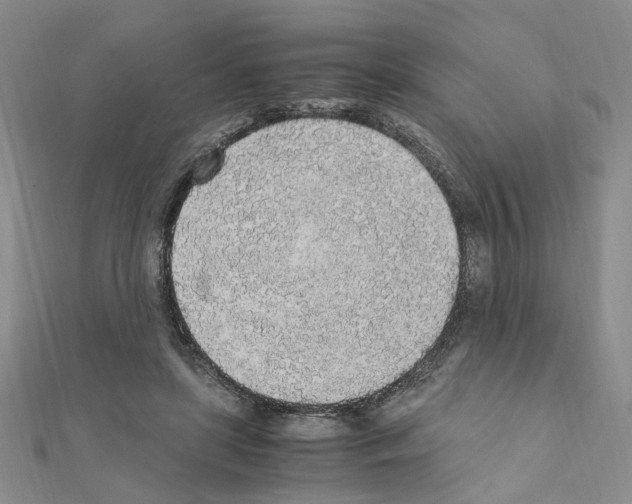 X0000110910451200907301545