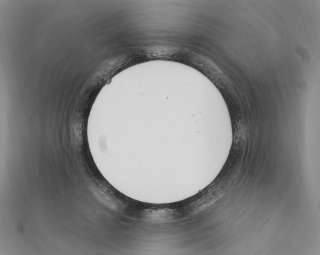 X0000110910452200907301545