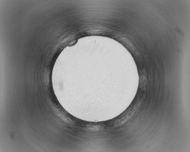 X0000110910454200907301545