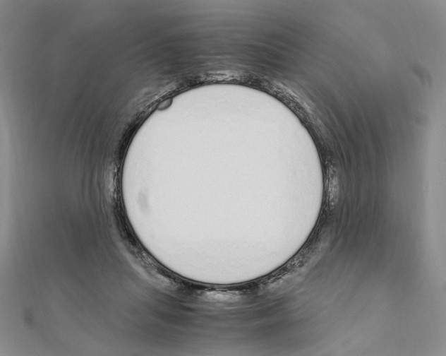 X0000110910455200907301545