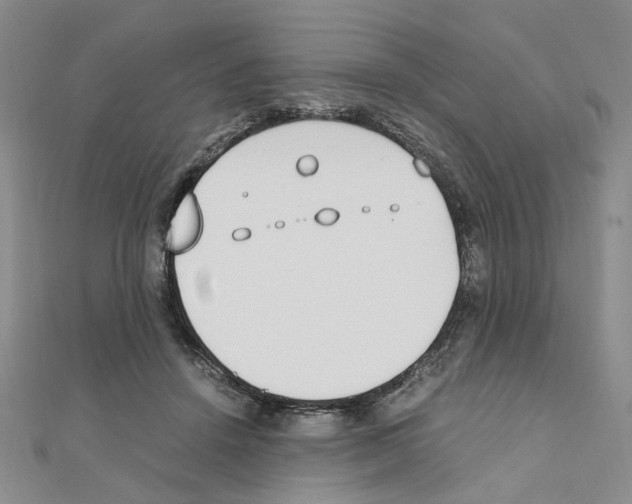 X0000110910456200907301545