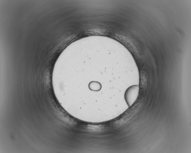 X0000110910457200907301545