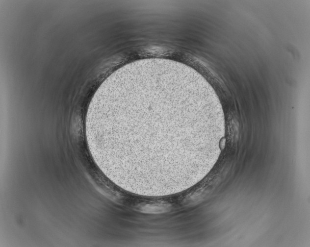 X0000110910459200907301545