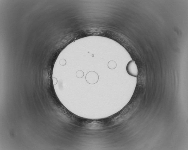 X0000110910460200907301545