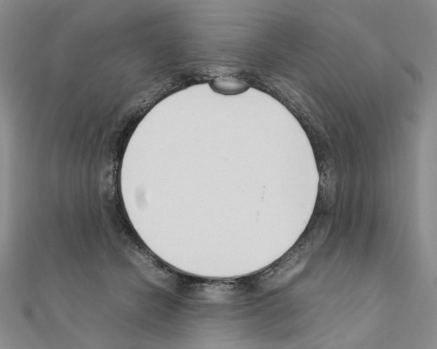 X0000110910462200907301545