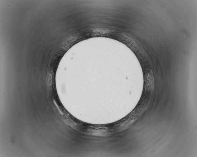 X0000110910463200907301545