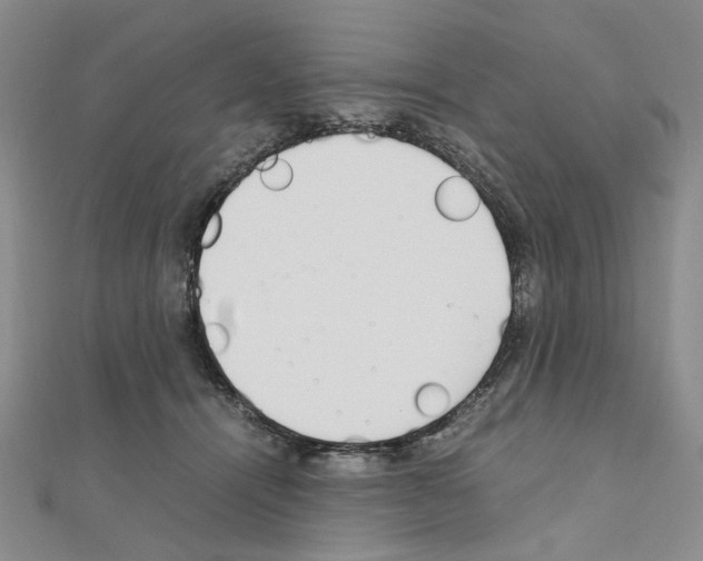 X0000110910464200907301545