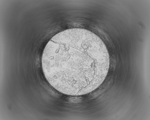 X0000110910465200907301545