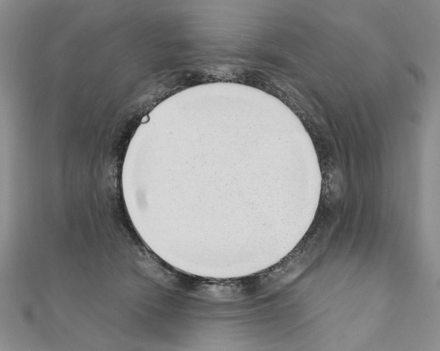 X0000110910466200907301545