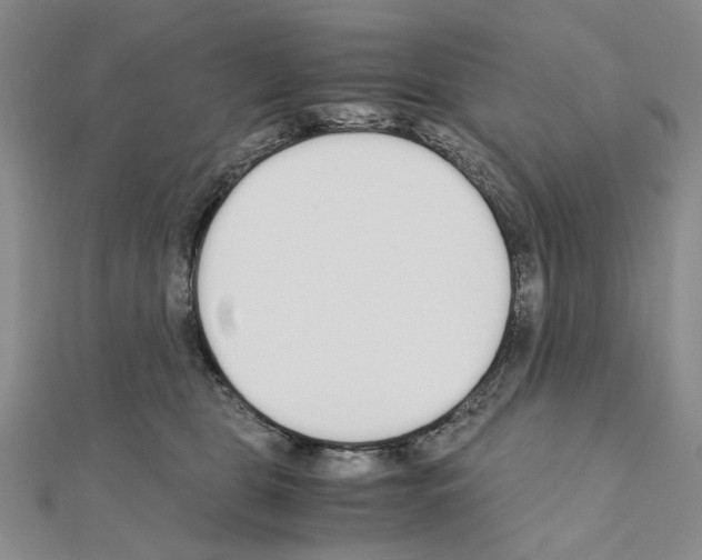 X0000110910469200907301545