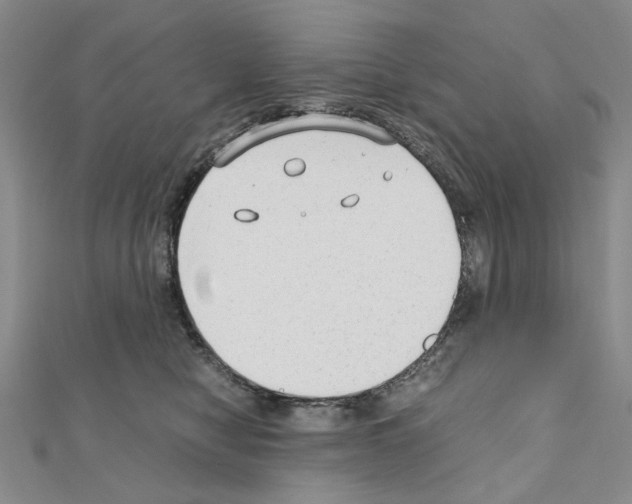 X0000110910470200907301545