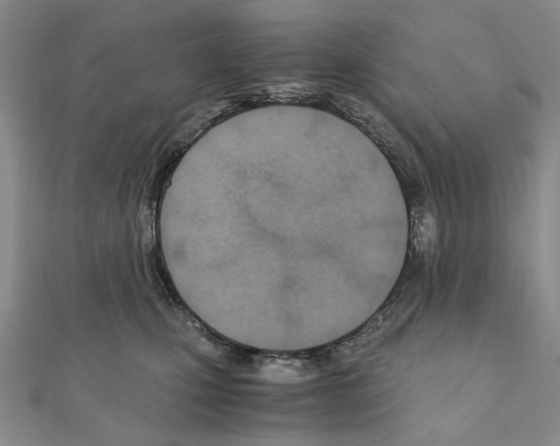 X0000110910471200907301545