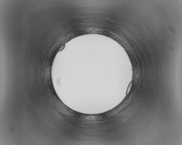 X0000110910473200907301545