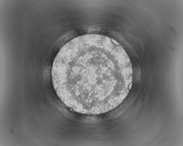 X0000110910475200907301545