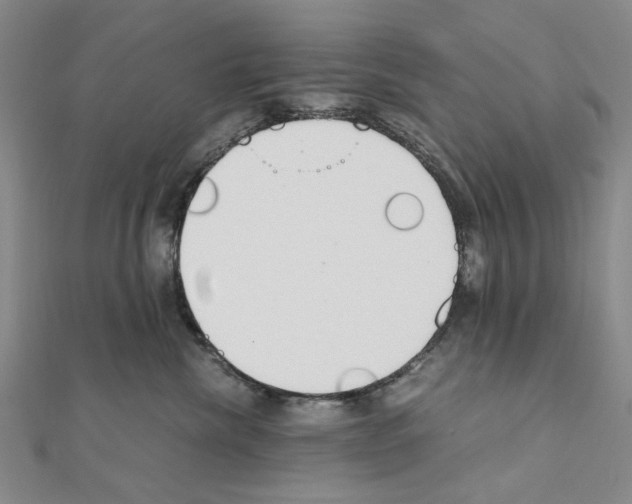 X0000110910476200907301545