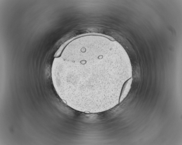 X0000110910478200907301545