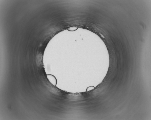 X0000110910480200907301545