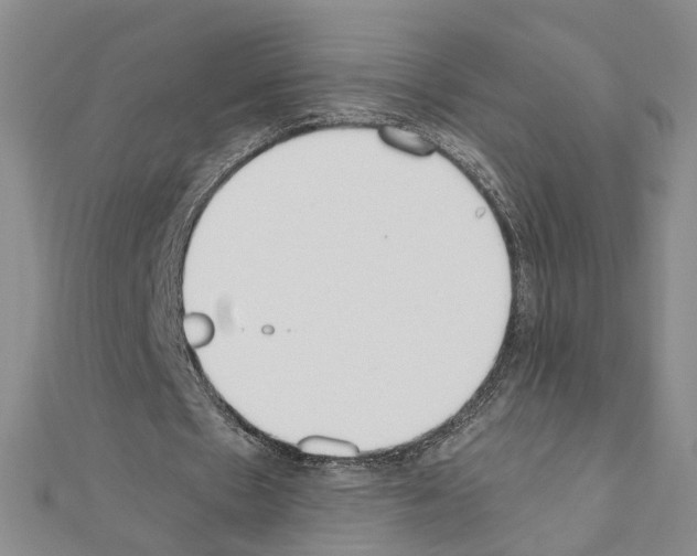 X0000110910481200907301545