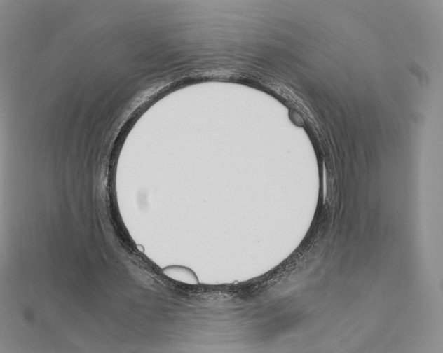 X0000110910483200907301545