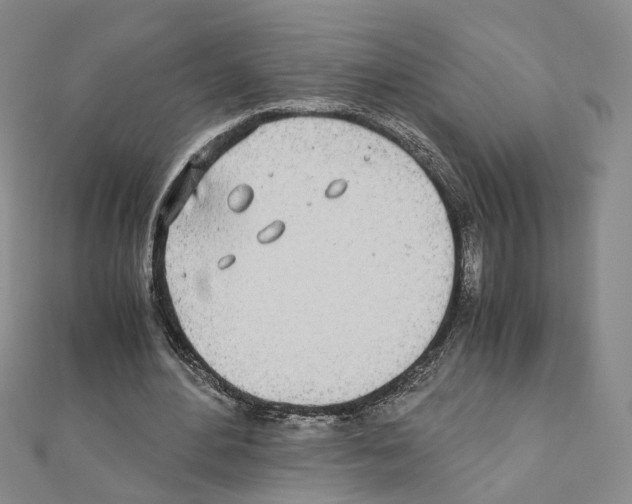 X0000110910484200907301545