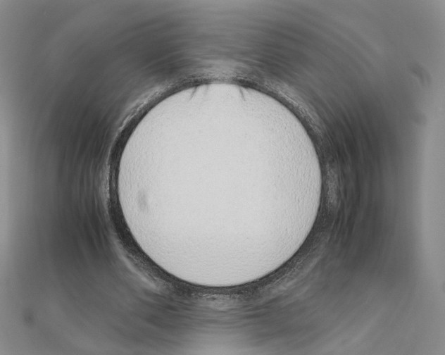 X0000110910486200907301545