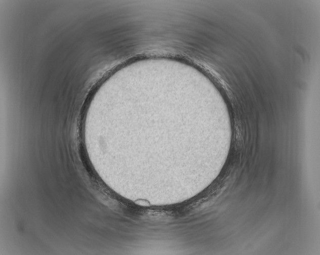 X0000110910487200907301545