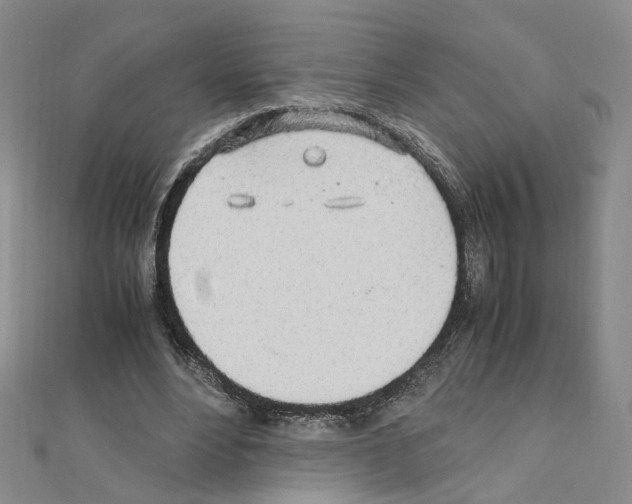 X0000110910488200907301545