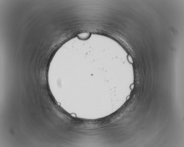 X0000110910489200907301545