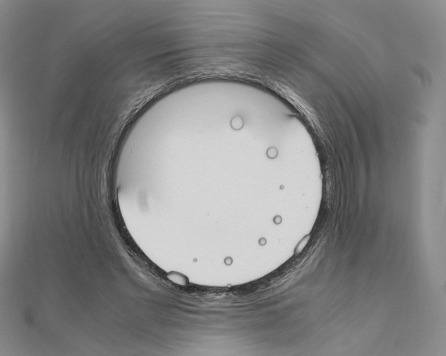 X0000110910493200907301545