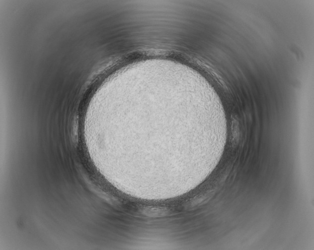 X0000110910494200907301545