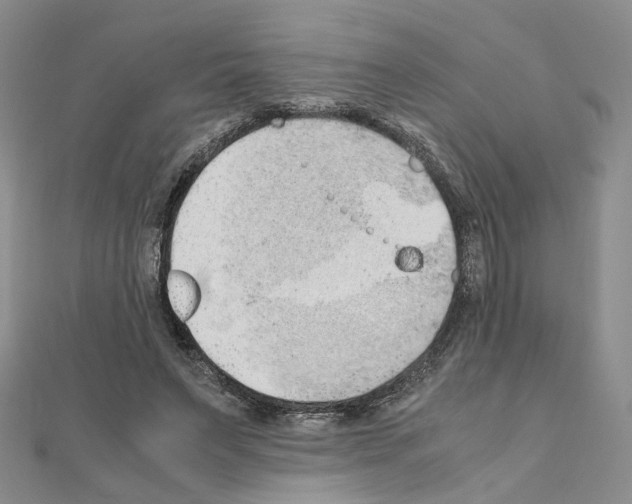 X0000110910495200907301545