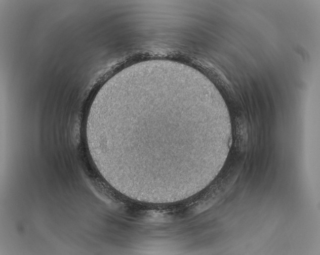 X0000110910496200907301545