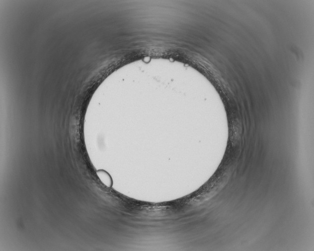 X0000110910497200907301545