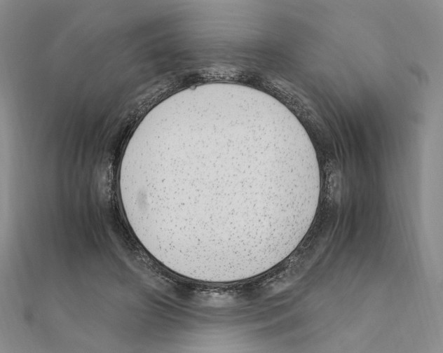 X0000110910498200907301544