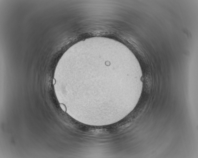 X0000110910499200907301544