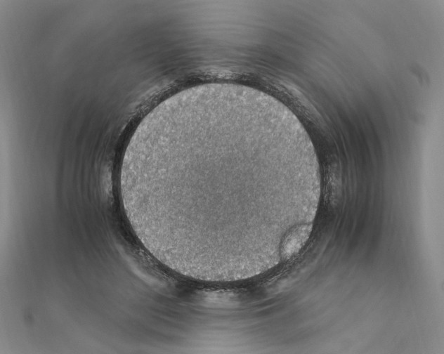 X0000110910500200907301544