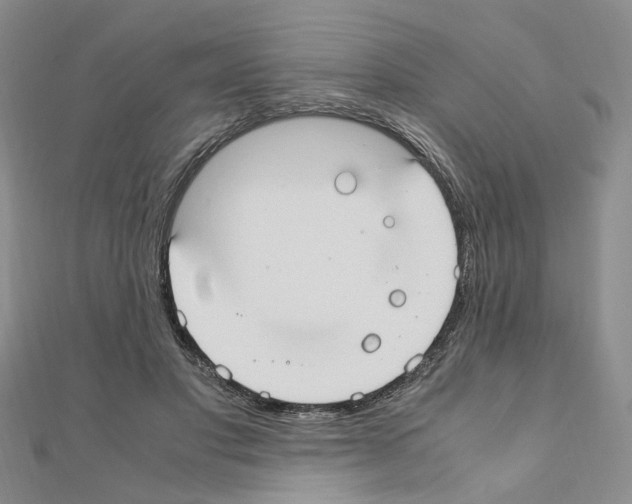 X0000110910501200907301544