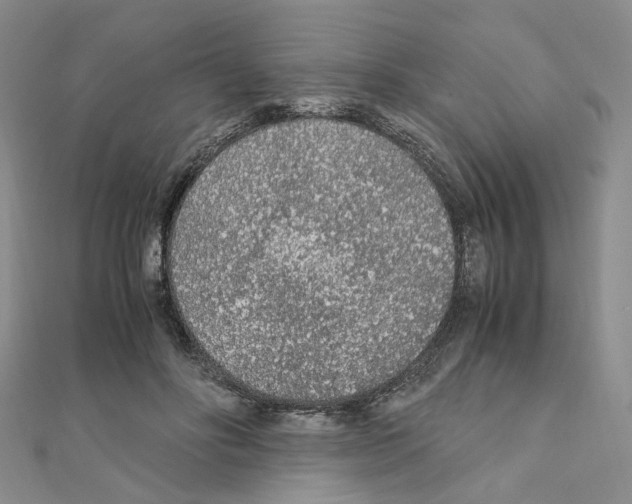 X0000110910502200907301544