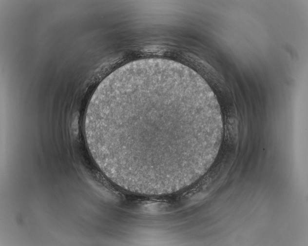 X0000110910504200907301544