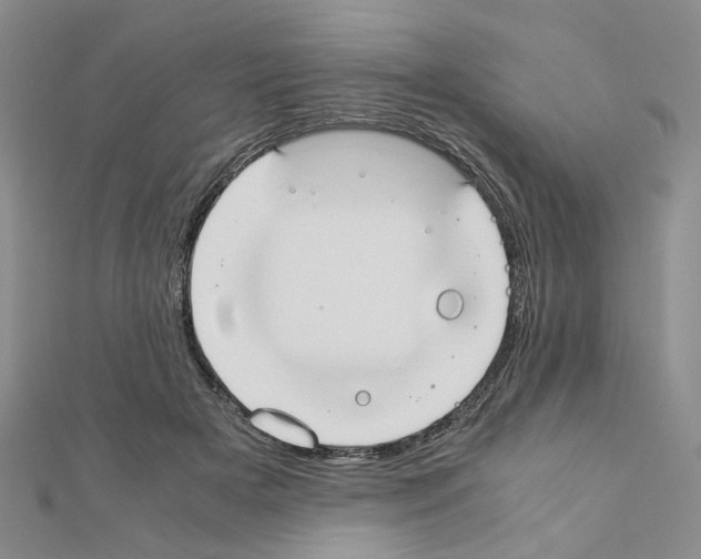 X0000110910505200907301544