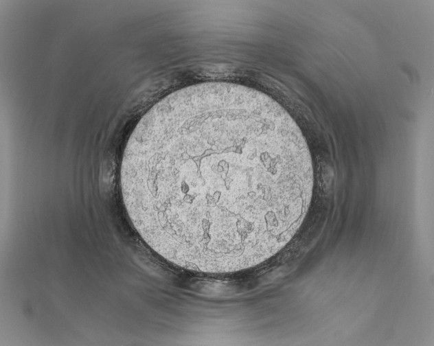 X0000110910507200907301544