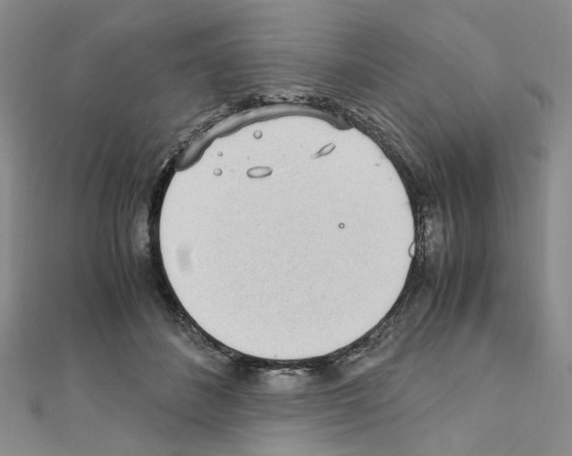 X0000110910508200907301544