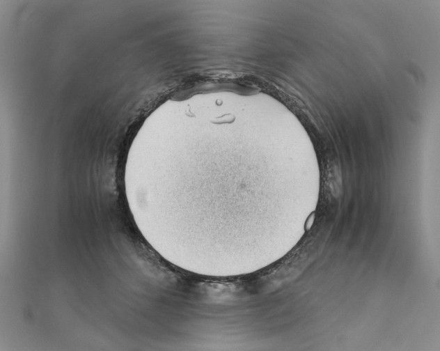 X0000110910512200907301544