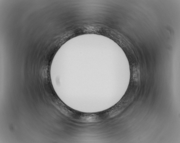 X0000110910514200907301544