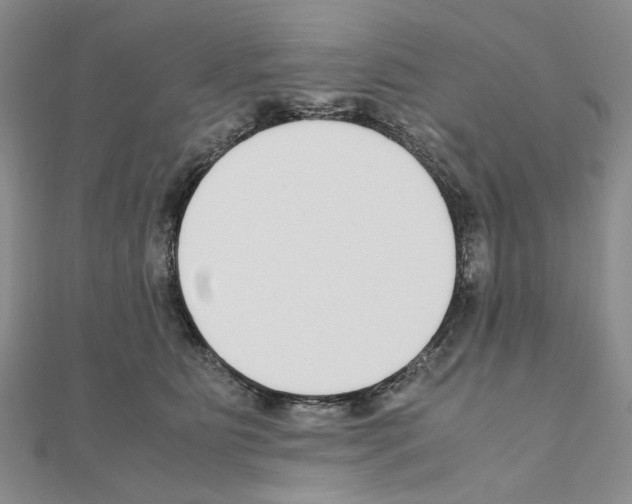 X0000110910515200907301544