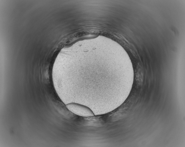 X0000110910516200907301544