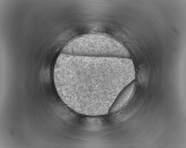 X0000110910520200907301544